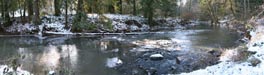 frozen creek